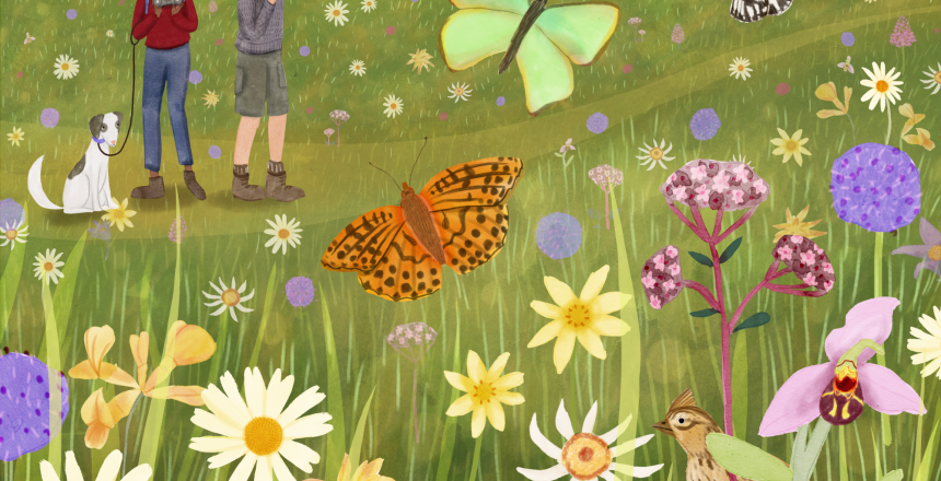 Chilterns_Celebration_ChilternsAONB_Copyright_LiviGosling