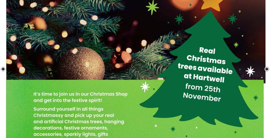 HartwellNurseries_A4_Advert_September_2022_final copy