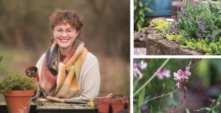Look locally over the garden gate