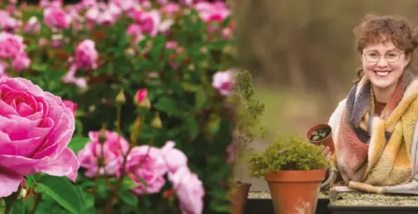 Roses by Lucie Ponsford of Mimosa Garden Design