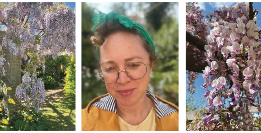 Mimosa Gardens look at Wonderful Wisteria