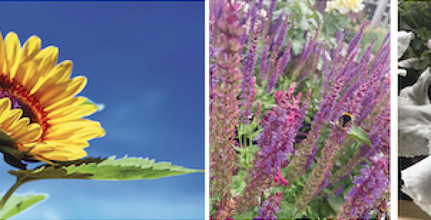 Screenshot 2023-05-02 at 23.34.43